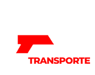 Auto Transporte